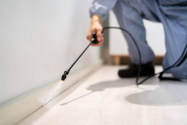 Certified termite inspector examining foundation in Leesburg
